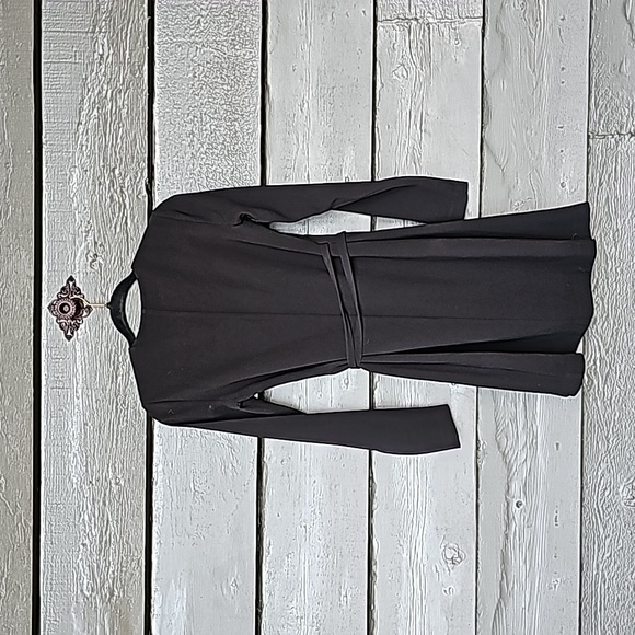 Aritzia Babaton Dress